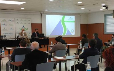 Nuevas oportunidades de financiación para pymes y autónomos de Almería de Garántia a través de Asempal